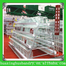 new design hot selling chicken poultry equipment